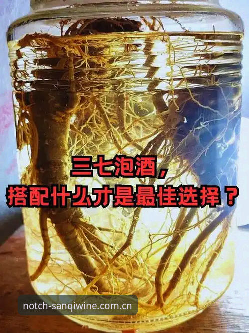 三七泡酒登录实用指南——数据面板、下载操作与避坑全知道