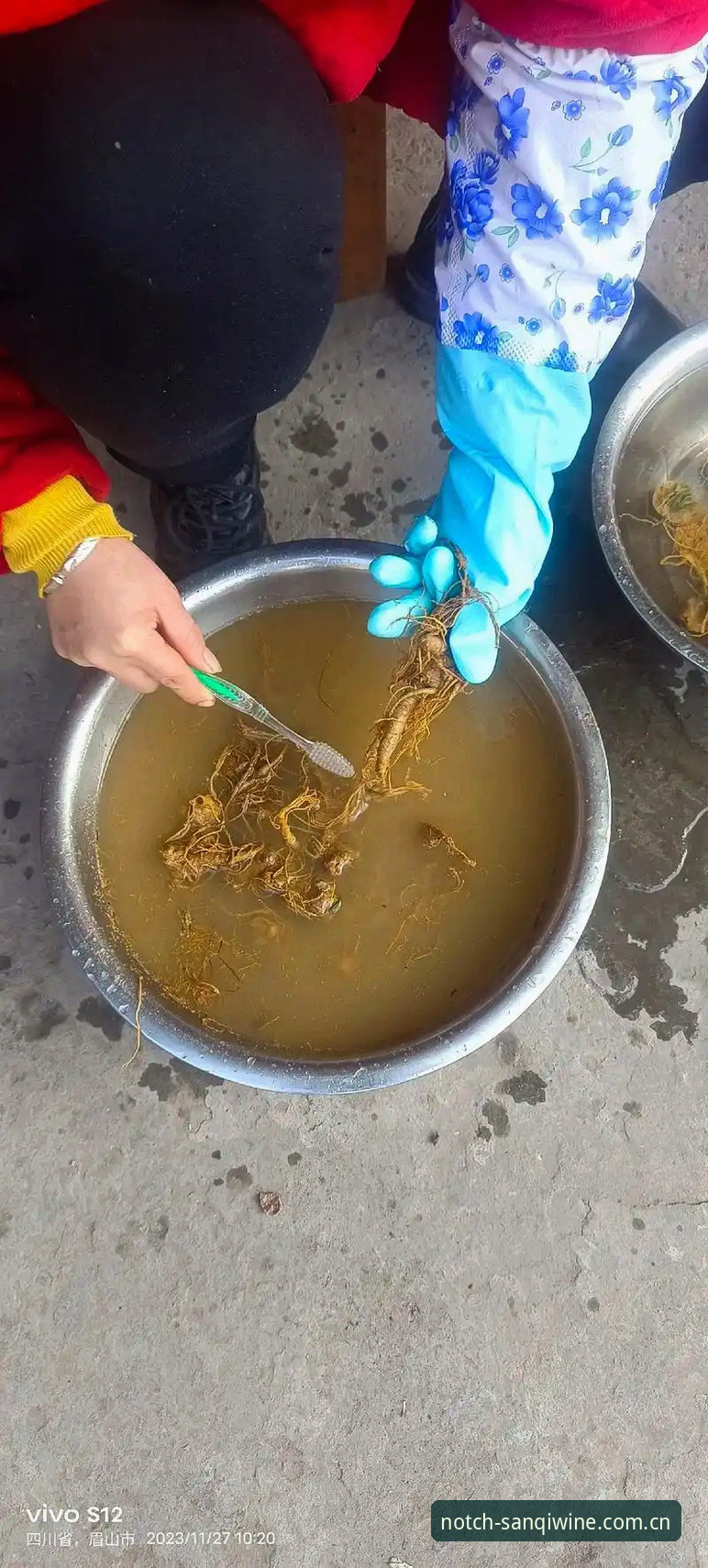 三七泡酒登录 5个细节看懂三七泡酒登录——从一次深夜赛事复盘聊起