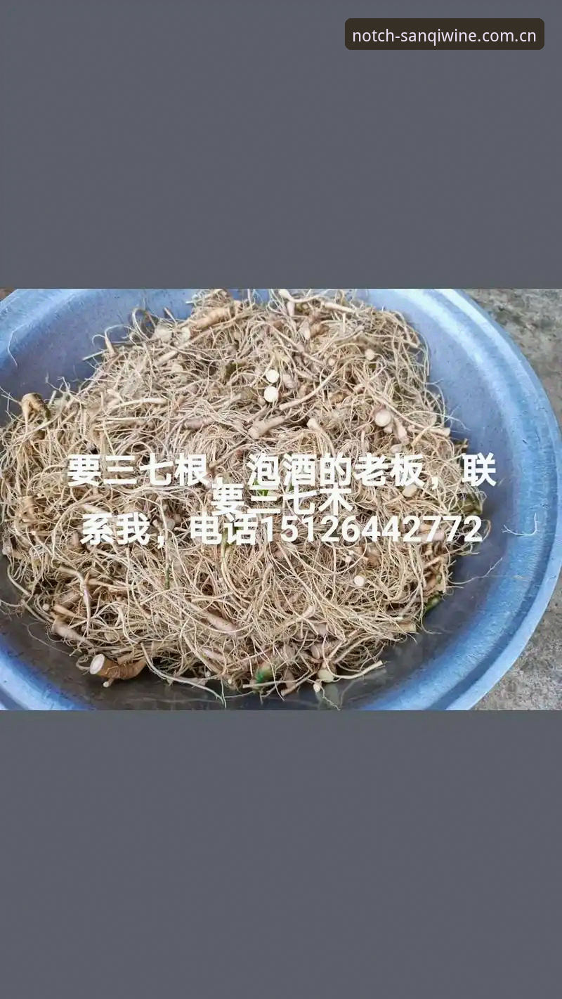 Sānqī Wine CN下载 三七泡酒安卓端vs官网版:功能对比与Sānqī Wine CN下载全攻略