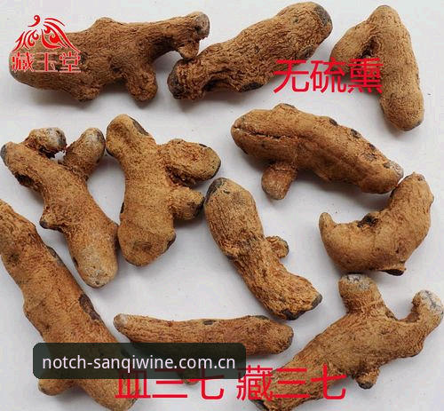 三七泡酒登录 三七泡酒坊登录与数据面板使用教程|v2.2.1实战操作指南